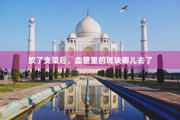 放了支架后，血管里的斑块哪儿去了