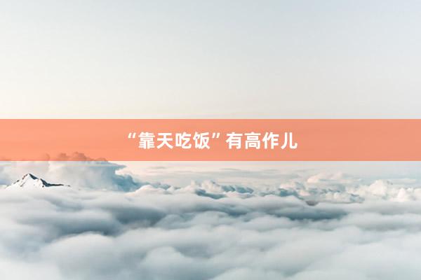 “靠天吃饭”有高作儿