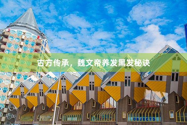 古方传承，魏文帝养发黑发秘诀