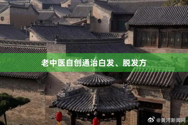 老中医自创通治白发、脱发方