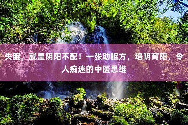 失眠，就是阴阳不配！一张助眠方，培阴育阳，令人痴迷的中医思维