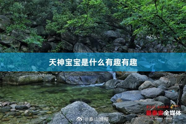 天神宝宝是什么有趣有趣