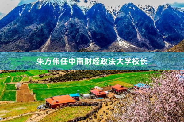 朱方伟任中南财经政法大学校长