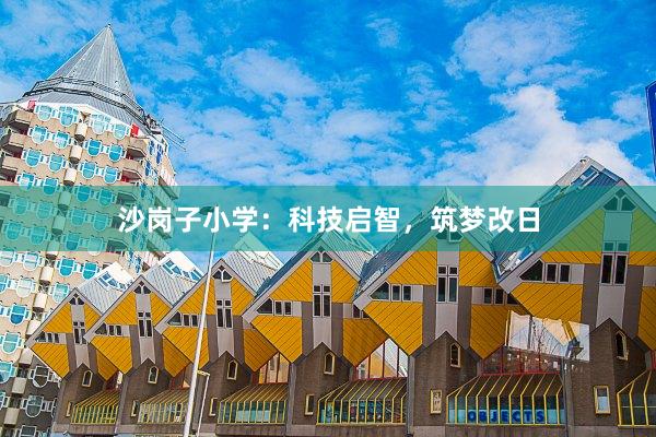 沙岗子小学：科技启智，筑梦改日