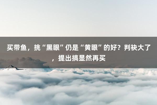 买带鱼，挑“黑眼”仍是“黄眼”的好？判袂大了，提出搞显然再买