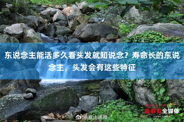 东说念主能活多久看头发就知说念？寿命长的东说念主，头发会有这些特征