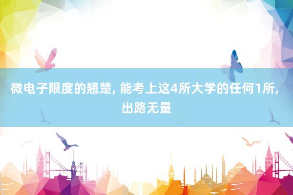 微电子限度的翘楚, 能考上这4所大学的任何1所, 出路无量