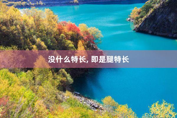 没什么特长, 即是腿特长
