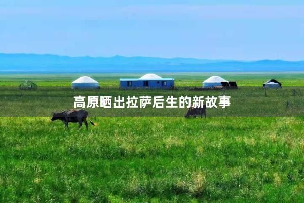 高原晒出拉萨后生的新故事