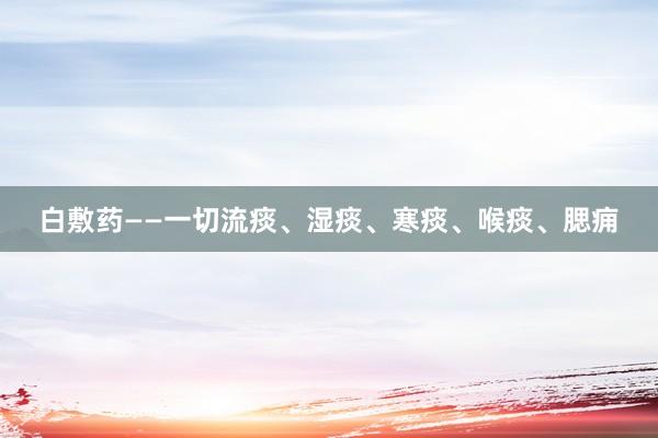 白敷药——一切流痰、湿痰、寒痰、喉痰、腮痈