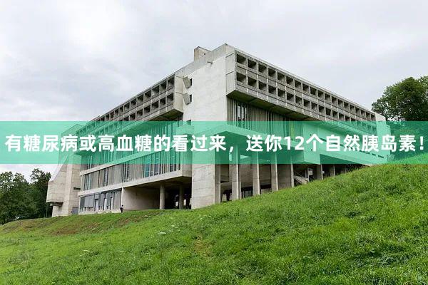 有糖尿病或高血糖的看过来，送你12个自然胰岛素！