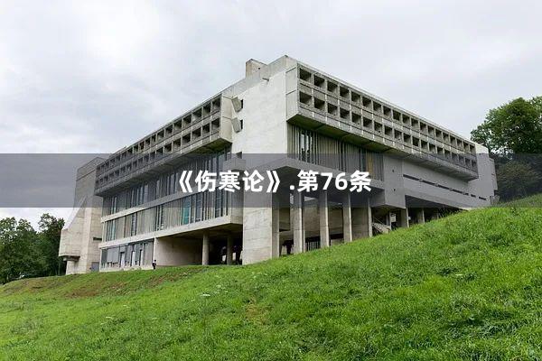 《伤寒论》.第76条