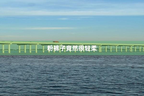 粉裤子竟然很轻柔