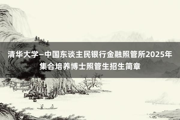 清华大学—中国东谈主民银行金融照管所2025年集合培养博士照管生招生简章