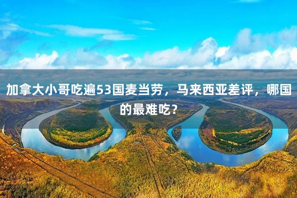 加拿大小哥吃遍53国麦当劳，马来西亚差评，哪国的最难吃？