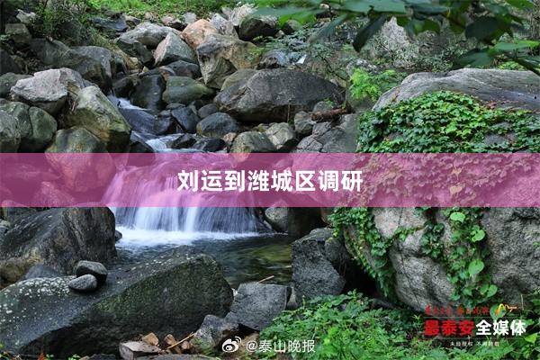 刘运到潍城区调研
