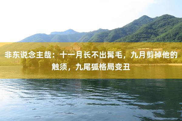 非东说念主哉：十一月长不出髯毛，九月剪掉他的触须，九尾狐格局变丑