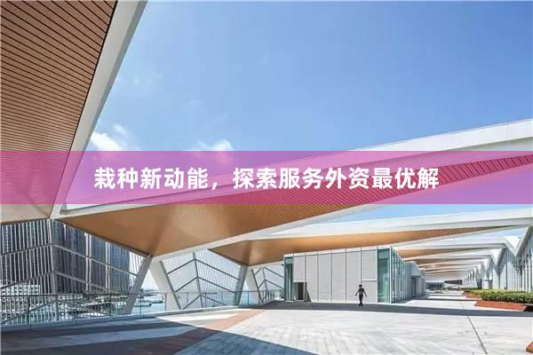 栽种新动能，探索服务外资最优解