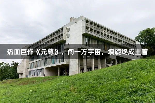 热血巨作《元尊》，闯一方宇宙，填旋终成主管