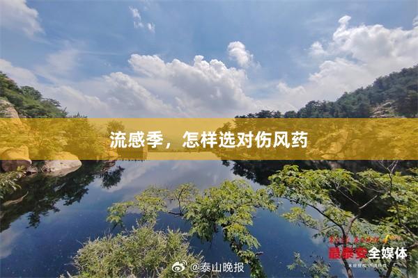 流感季，怎样选对伤风药