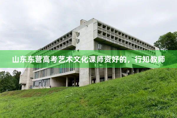 山东东营高考艺术文化课师资好的，行知教师
