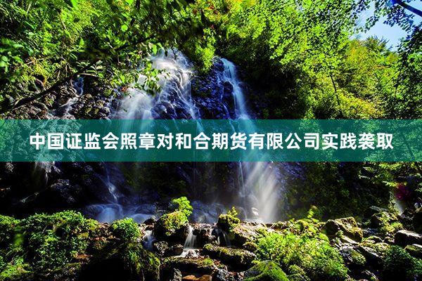 中国证监会照章对和合期货有限公司实践袭取