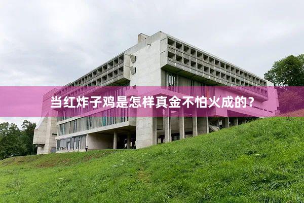 当红炸子鸡是怎样真金不怕火成的？