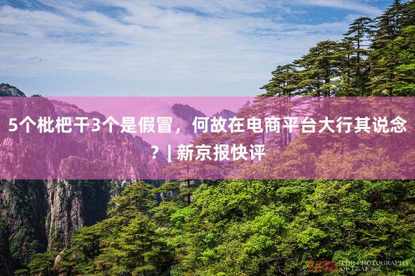 5个枇杷干3个是假冒，何故在电商平台大行其说念？| 新京报快评