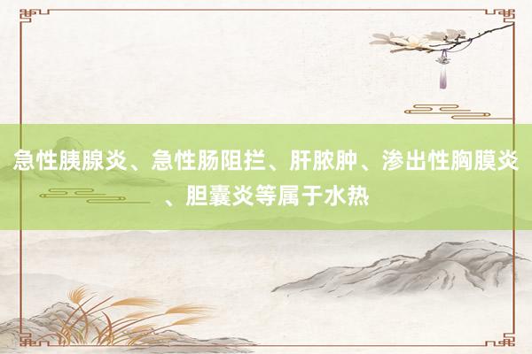 急性胰腺炎、急性肠阻拦、肝脓肿、渗出性胸膜炎、胆囊炎等属于水热