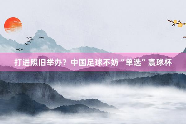 打进照旧举办？中国足球不妨“单选”寰球杯